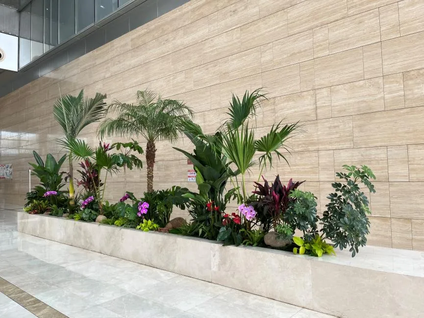 超实惠！宁波北仑盆景租赁，扮靓你的世界！